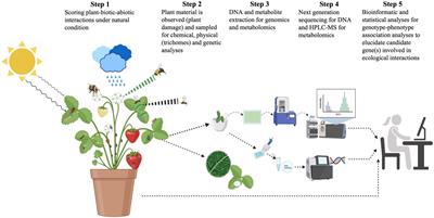 Evolutionary Ecology of Plant-Arthropod Interactions in Light of the “Omics” Sciences: A Broad Guide